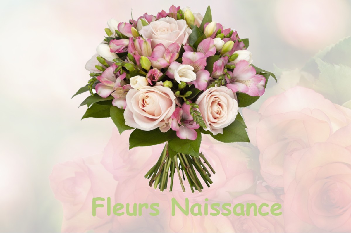 fleurs naissance LA-VRAIE-CROIX